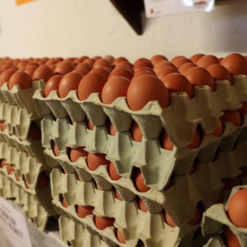 Stabler med eggbrett fulle av brune egg