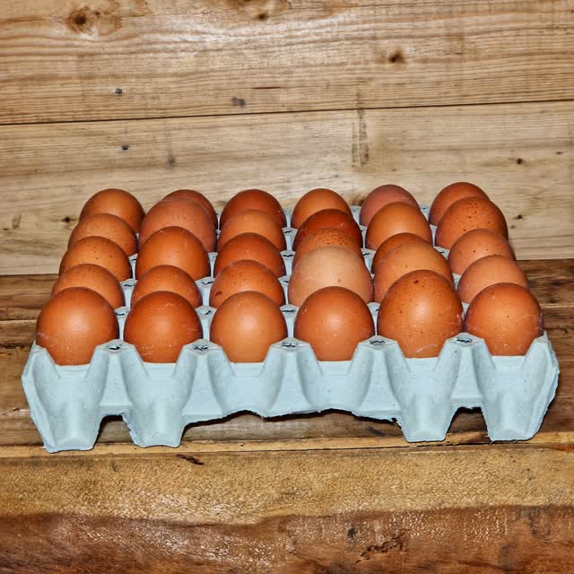 Brune egg